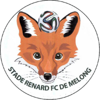 Stade Renard